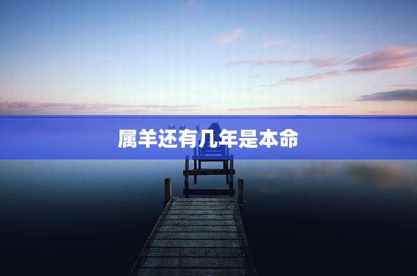 属羊还有几年是本命