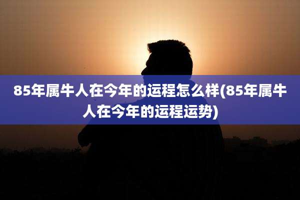 85年属牛人在今年的运程怎么样(85年属牛人在今年的运程运势)