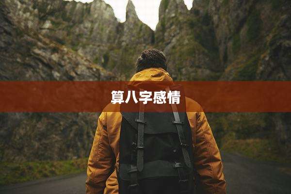 算八字感情