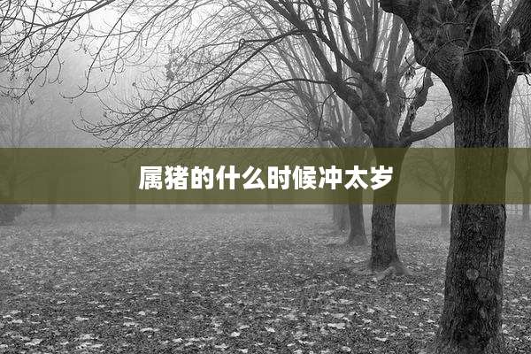 属猪的什么时候冲太岁