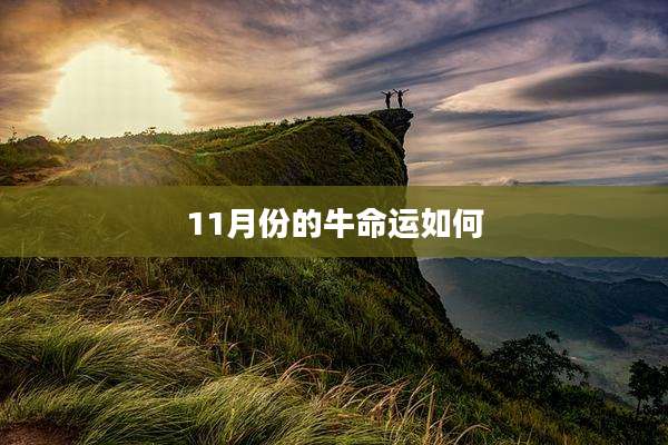 11月份的牛命运如何