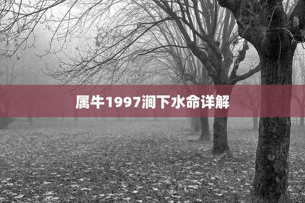 属牛1997涧下水命详解