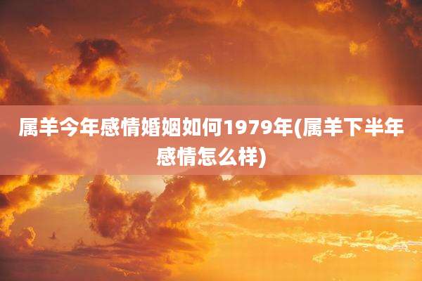 属羊今年感情婚姻如何1979年(属羊下半年感情怎么样)