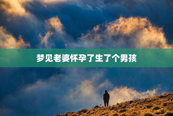 梦见老婆怀孕了生了个男孩