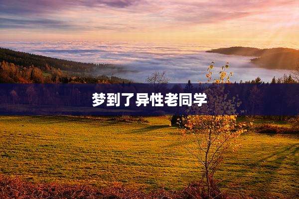 梦到了异性老同学