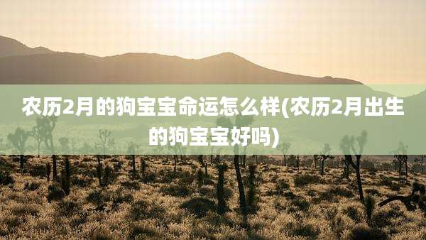 农历2月的狗宝宝命运怎么样(农历2月出生的狗宝宝好吗)