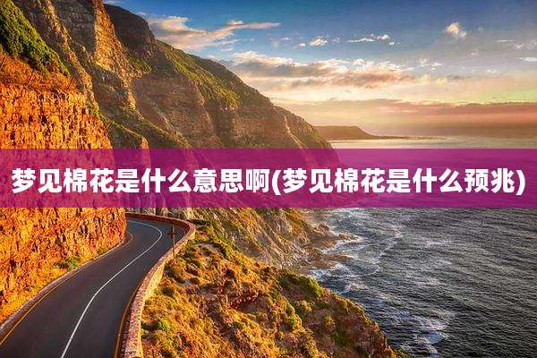 梦见棉花是什么意思啊(梦见棉花是什么预兆)