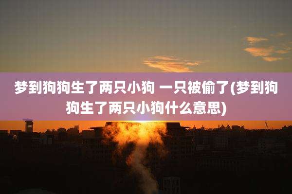 梦到狗狗生了两只小狗 一只被偷了(梦到狗狗生了两只小狗什么意思)