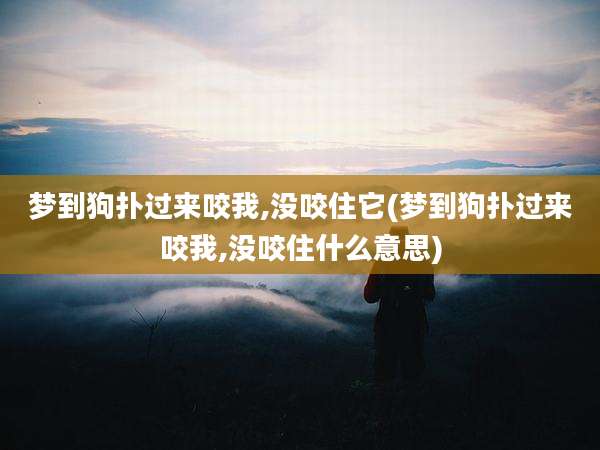 梦到狗扑过来咬我,没咬住它(梦到狗扑过来咬我,没咬住什么意思)