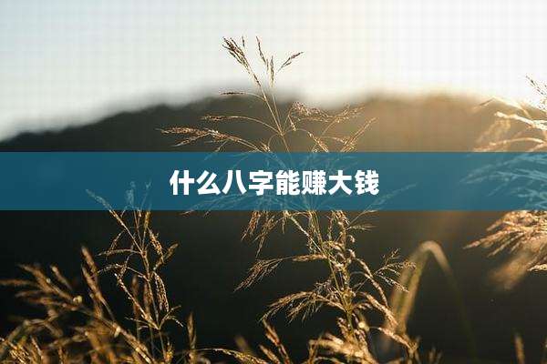 什么八字能赚大钱