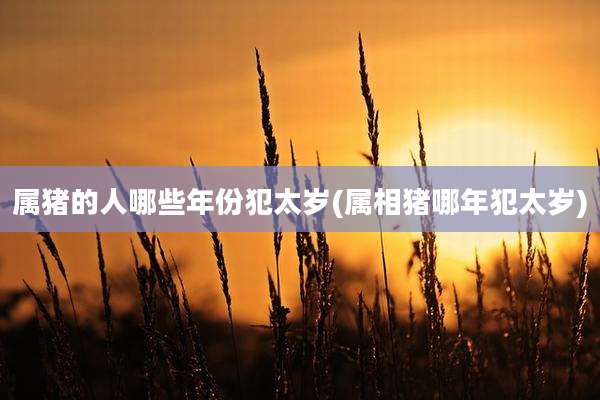 属猪的人哪些年份犯太岁(属相猪哪年犯太岁)