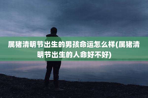 属猪清明节出生的男孩命运怎么样(属猪清明节出生的人命好不好)
