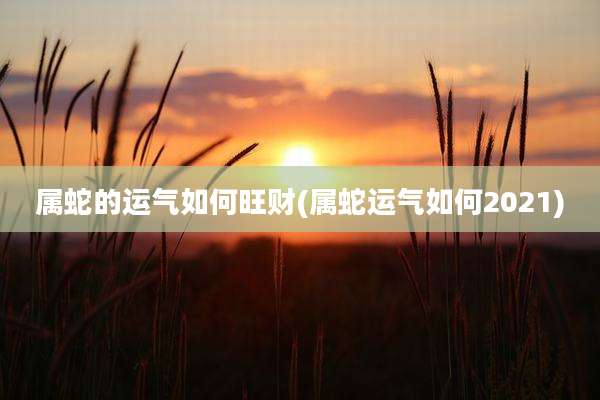 属蛇的运气如何旺财(属蛇运气如何2021)