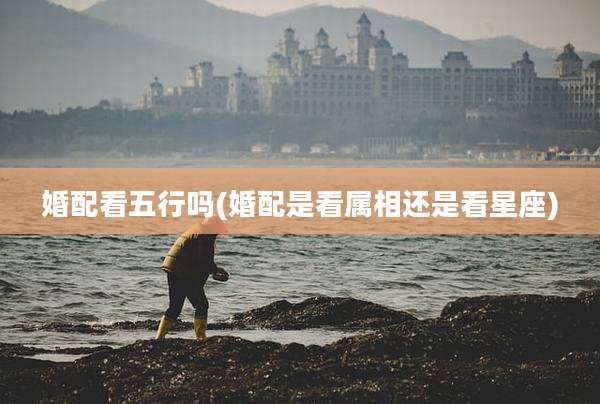 婚配看五行吗(婚配是看属相还是看星座)