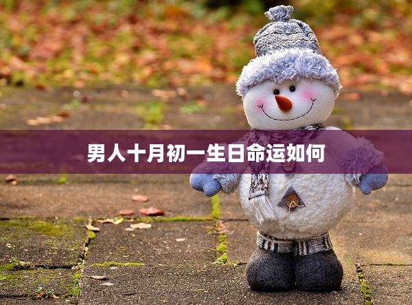 男人十月初一生日命运如何