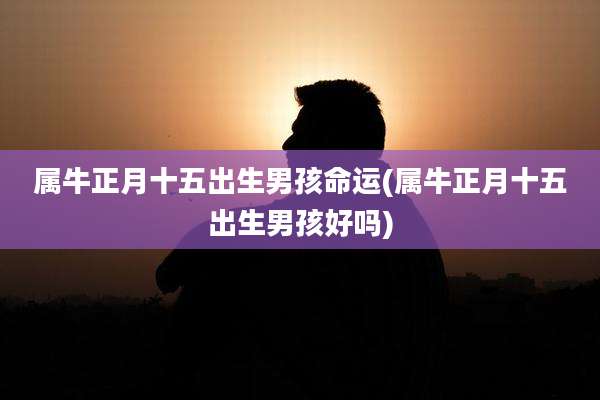 属牛正月十五出生男孩命运(属牛正月十五出生男孩好吗)