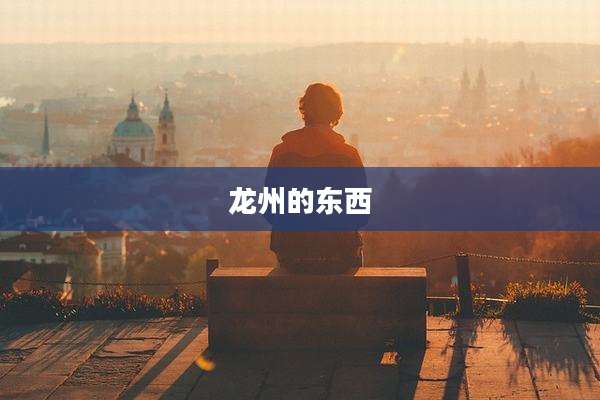 龙州的东西