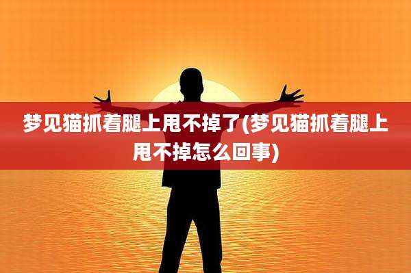 梦见猫抓着腿上甩不掉了(梦见猫抓着腿上甩不掉怎么回事)