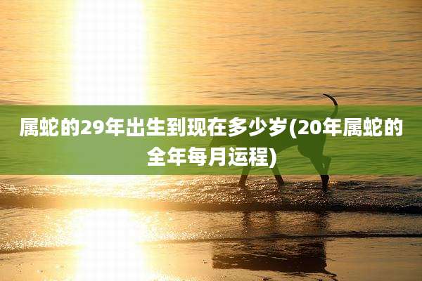 属蛇的29年出生到现在多少岁(20年属蛇的全年每月运程)