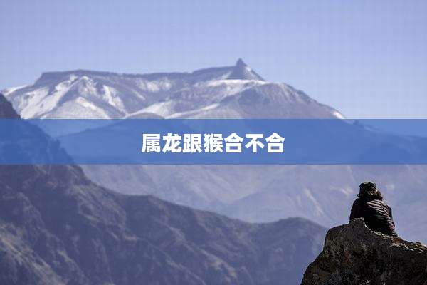 属龙跟猴合不合