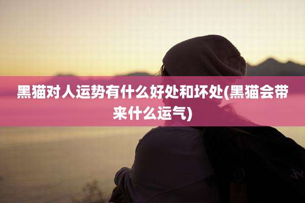 黑猫对人运势有什么好处和坏处(黑猫会带来什么运气)