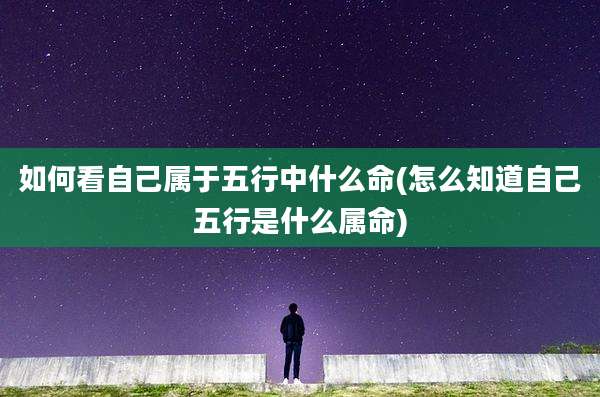 如何看自己属于五行中什么命(怎么知道自己五行是什么属命)