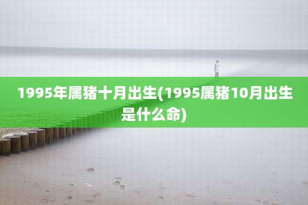 1995年属猪十月出生(1995属猪10月出生是什么命)