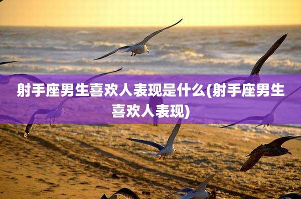 射手座男生喜欢人表现是什么(射手座男生喜欢人表现)