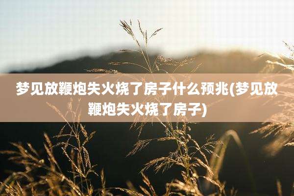 梦见放鞭炮失火烧了房子什么预兆(梦见放鞭炮失火烧了房子)