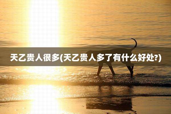 天乙贵人很多(天乙贵人多了有什么好处?)