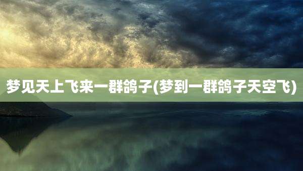 梦见天上飞来一群鸽子(梦到一群鸽子天空飞)