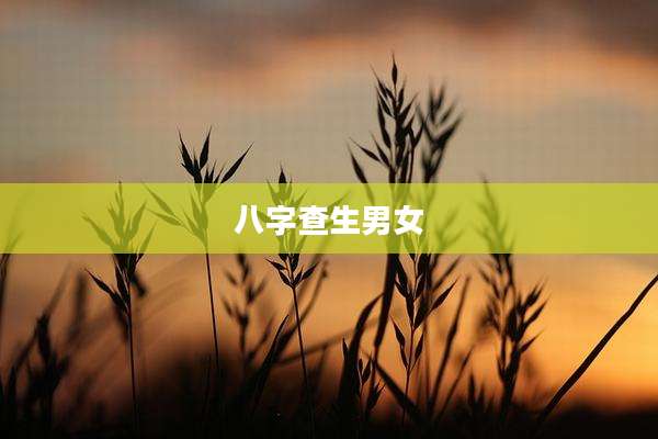 八字查生男女
