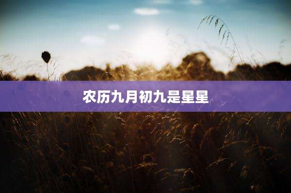 农历九月初九是星星