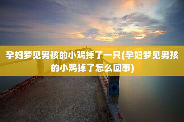 孕妇梦见男孩的小鸡掉了一只(孕妇梦见男孩的小鸡掉了怎么回事)