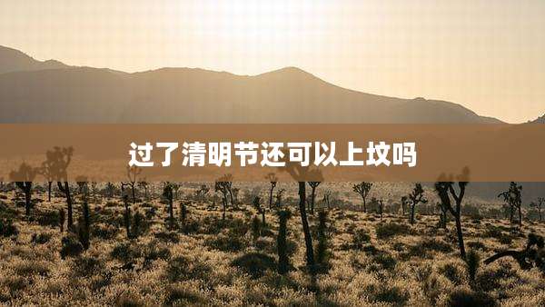 过了清明节还可以上坟吗