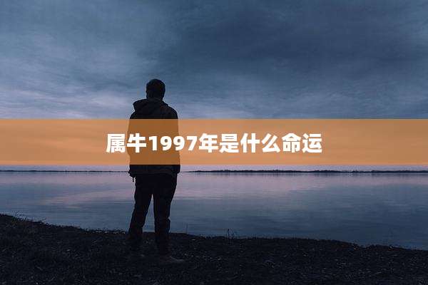 属牛1997年是什么命运