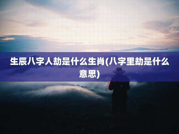 生辰八字人劫是什么生肖(八字里劫是什么意思)