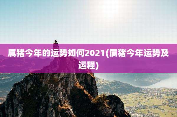属猪今年的运势如何2021(属猪今年运势及运程)