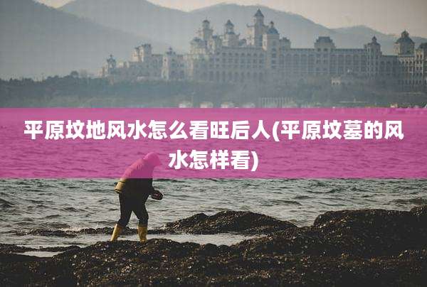 平原坟地风水怎么看旺后人(平原坟墓的风水怎样看)