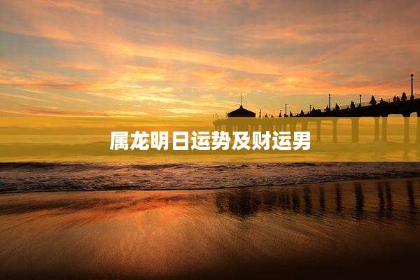 属龙明日运势及财运男