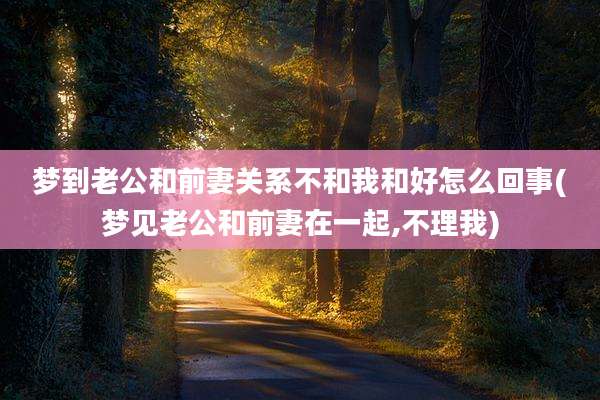 梦到老公和前妻关系不和我和好怎么回事(梦见老公和前妻在一起,不理我)