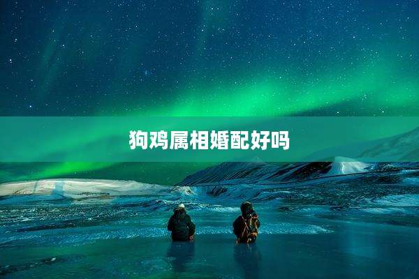 狗鸡属相婚配好吗