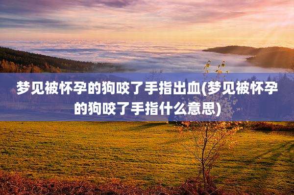 梦见被怀孕的狗咬了手指出血(梦见被怀孕的狗咬了手指什么意思)