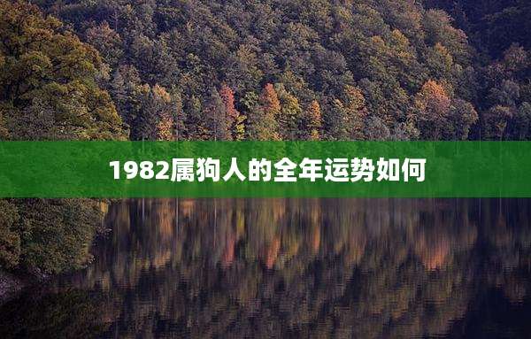 1982属狗人的全年运势如何