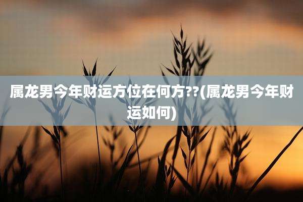 属龙男今年财运方位在何方??(属龙男今年财运如何)