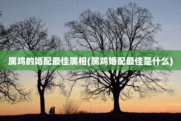 属鸡的婚配最佳属相(属鸡婚配最佳是什么)