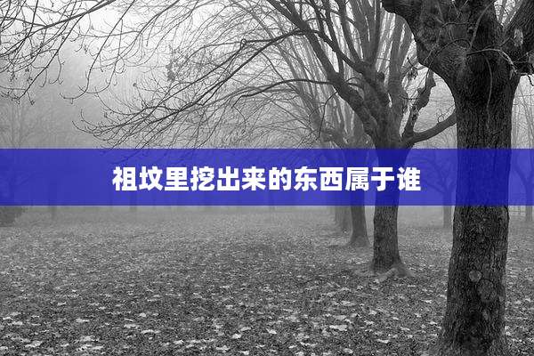 祖坟里挖出来的东西属于谁