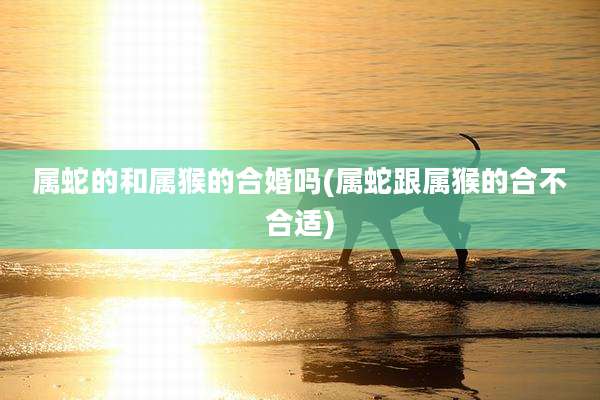 属蛇的和属猴的合婚吗(属蛇跟属猴的合不合适)