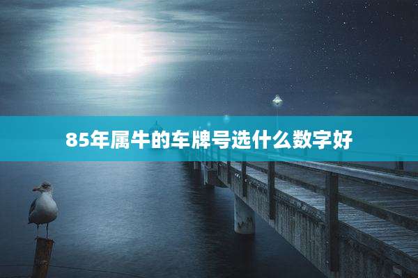 85年属牛的车牌号选什么数字好