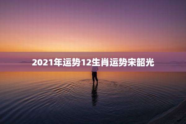 2021年运势12生肖运势宋韶光